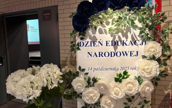 Wojewódzkie i Powiatowe obchody DEN