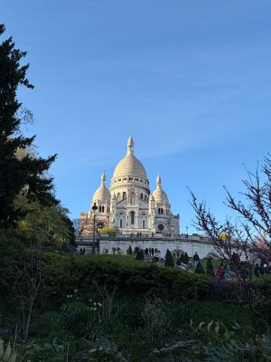 image23