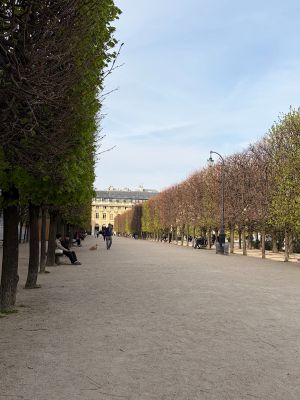 image7